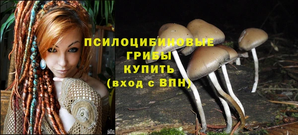 ALPHA PVP Балахна