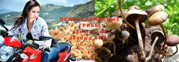 эйфоретик Баксан