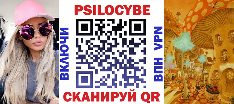 Псилоцибиновые грибы Psilocybe  Салаир 