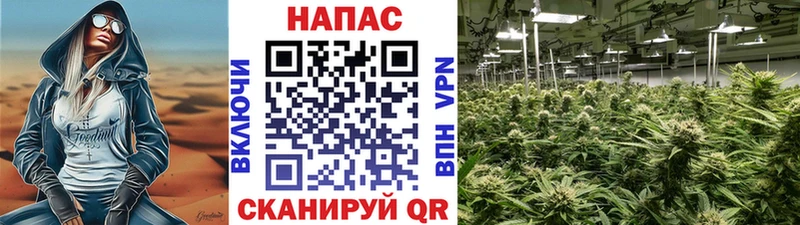 KRAKEN ссылки  Салаир  Бошки Шишки тримм 
